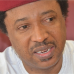 APC Leadership Worries Over Shehu Sani’s ‘Grammar’ At The Senate ‎