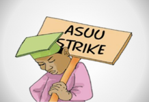 THEWILL Editorial: Another Strike In Nigeria’s Education Sector Must Be Averted asuu