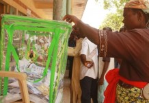 THEWILL Editorial: Proposed Electoral Reforms Must Address Anomalies In Rivers Rerun