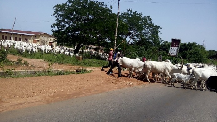 Herdsmen