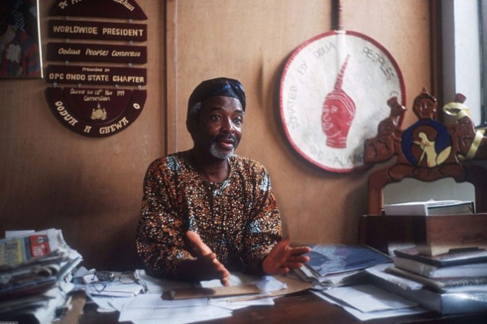 Dr.-Frederick-Fasehun-4-700x466