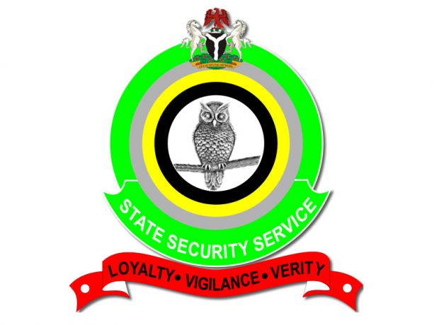 DSS LOGO