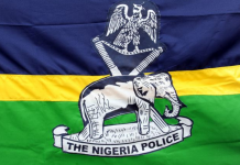 THEWILL Editorial: The Nigeria Police Promotion Fiasco