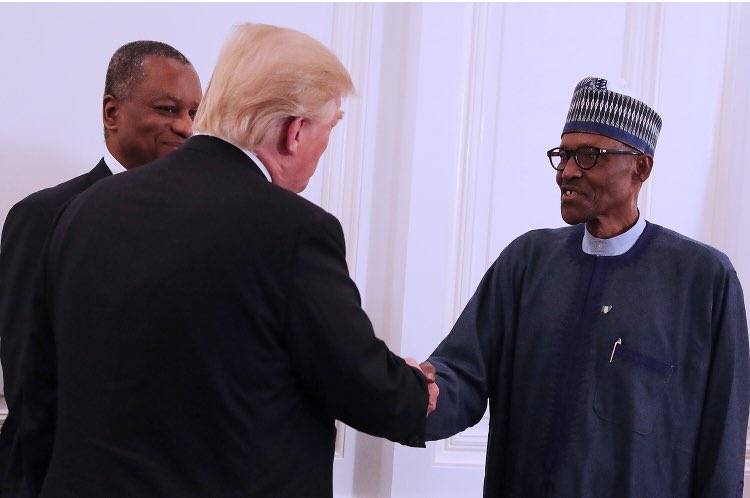Trump Hosts Buhari, Other African Leaders 2 - THEWILL NEWS MEDIA Trump Hosts Buhari, Other African Leaders 2