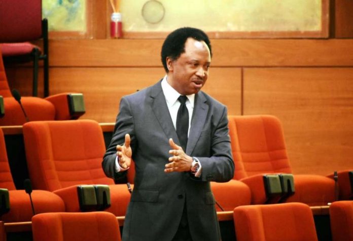 shehu-sani Senator Shehu
