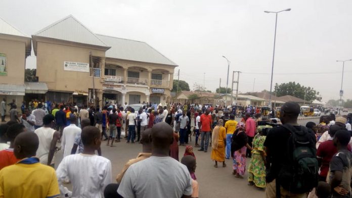 Gombe Killings