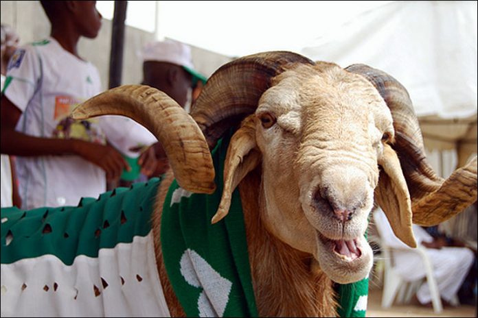 sallah