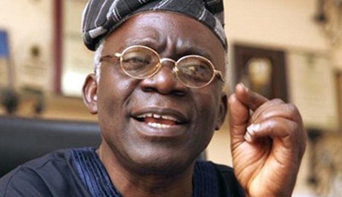 Femi-Falana-1