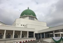 THEWILL EDITORIAL: NASS Proposal on November Elections NASS