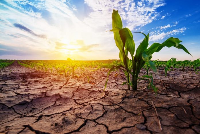CLIMATE CHANGE