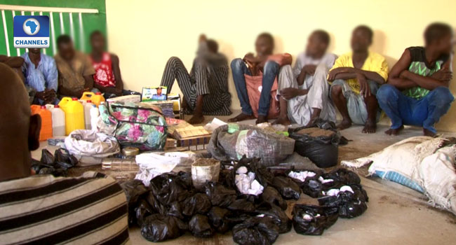 police arrest 17 drug dealers in borno state