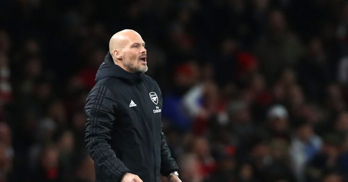 0_Freddie-Ljungberg