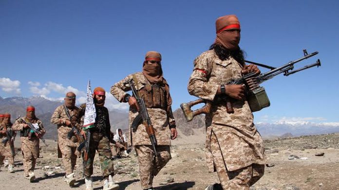 TALIBAN