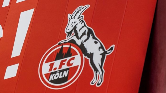 skysports-fc-koln-cologne-fc-koeln_4981571