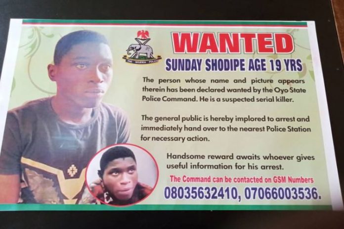 Police Set N500, 000 Bounty on Allege Serial Killer, Sunday Shodipe