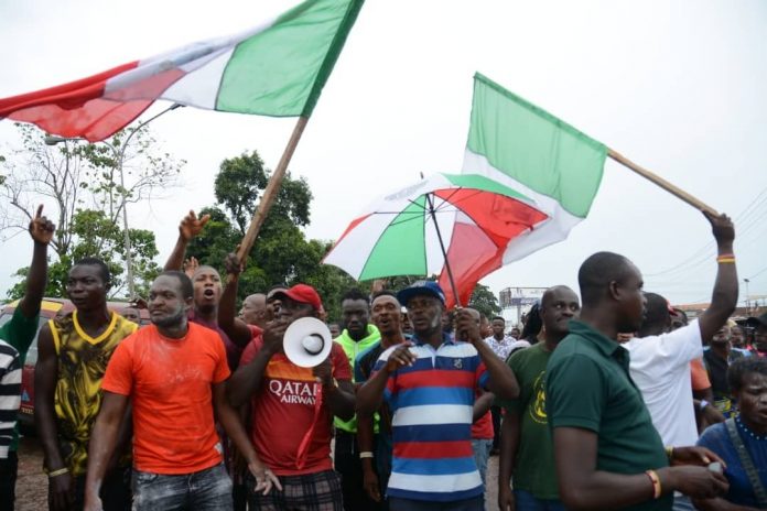 PDP Supporter 2