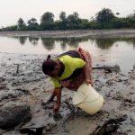 Burst Shell Pipes Spill 276 Barrels In Bayelsa, Rivers In April