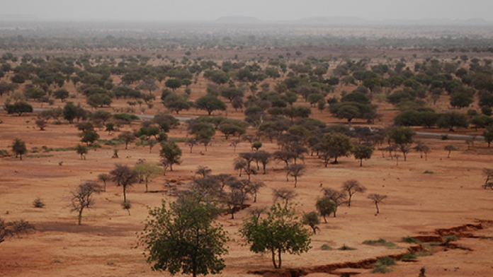Africa Desertification