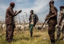 OPINION: ETHNIC AND RELIGIOUS PROFILING, THE RWANDA AND NIGERIA EXPERIENCE Vigilante