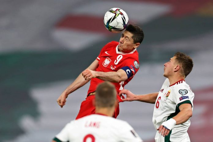 Hungary_Poland_WCup_2022_Soccer_13495 Robert Lewandowski