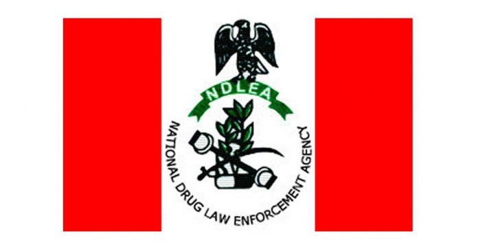 NDLEA-Logo-NEw NDLEA