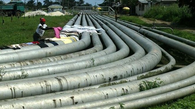 Shell communities