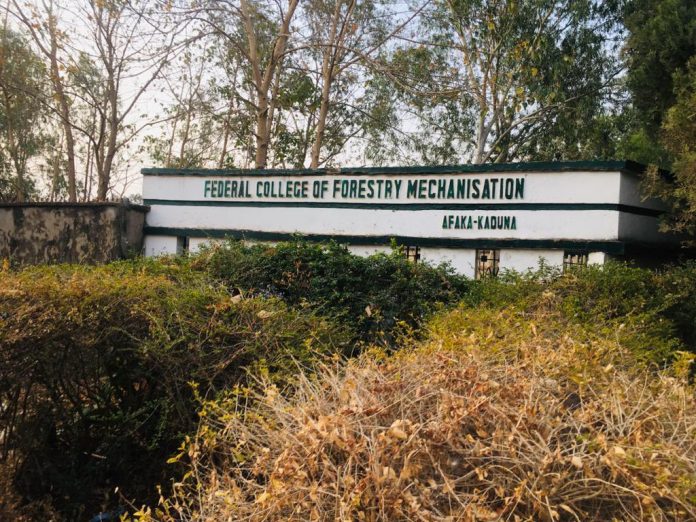 federal college of forestry federal-college-of-forestry