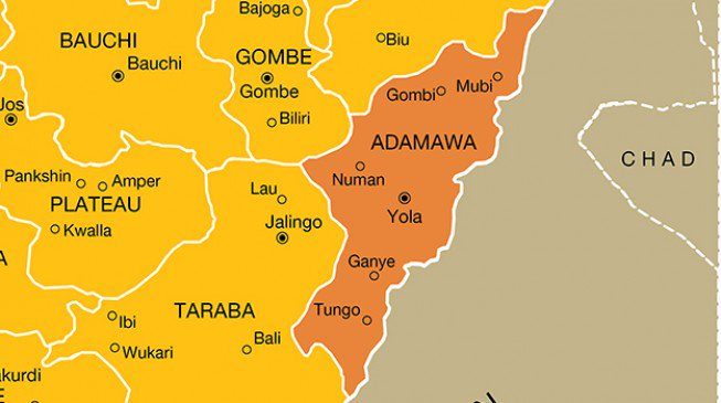 adamawa yola