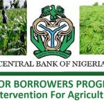 Anchor Borrowers’ Programme: CBN Moves to Avert 2m Job Losses  CBN/ABP