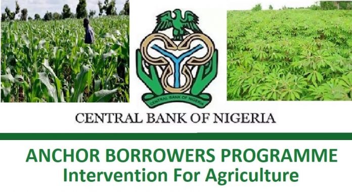 CBN-Anchor-Borrowers-Programme-ABP-For-Agriculture CBN/ABP