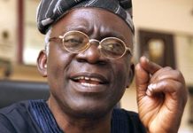 Xenophobic Attack: Falana Calls For Sanctions Against South African Businesses Mr. Femi Falana