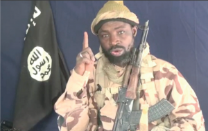 - THEWILL NEWS MEDIA Shekau