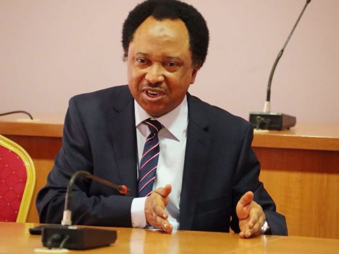 06832e64-shehu-sani Shehu Sani