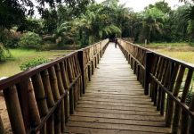 LUFASI Park: Where Nature Meets Modernity LUFASI Park