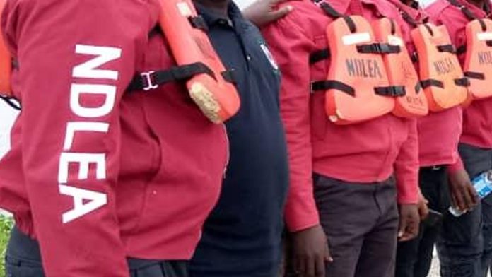 NDLEA NDLEA Officers
