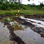 Oil Spills Killed 16,000 Niger-Delta Babies In 1 Year, Caused Abortion And Infertility –Irish Priest’s NGO