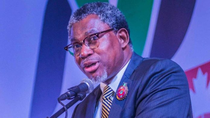 The Minister of Mines and Steel Development, Olamilekan Adegbite