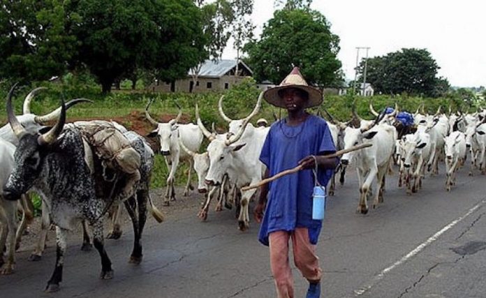 fulani-herdsmen1 Fulani Herdsmen