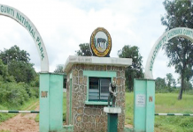 Gashaka-Gumti National Park: Renewed Ecosystems for Economic GrowthÂ