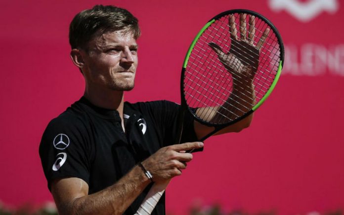 David Goffin