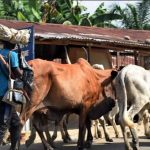 Suspected Fulani Herdsmen Kill Two Soldiers,15 Villagers In Benue Herders