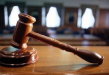 THEWILL EDITORIAL: Applause for Court’s Verdict, SERAP’s Litigation court