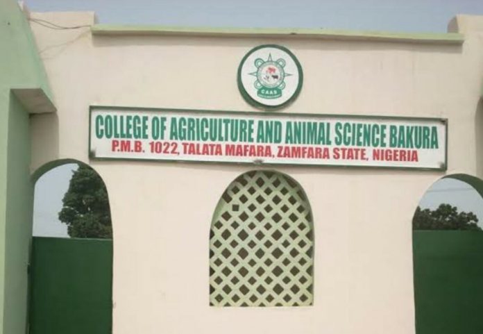 College of Agriculture and Animal Science Bakura, Zamfatra state College of Agriculture and Animal Science Bakura, Zamfara state