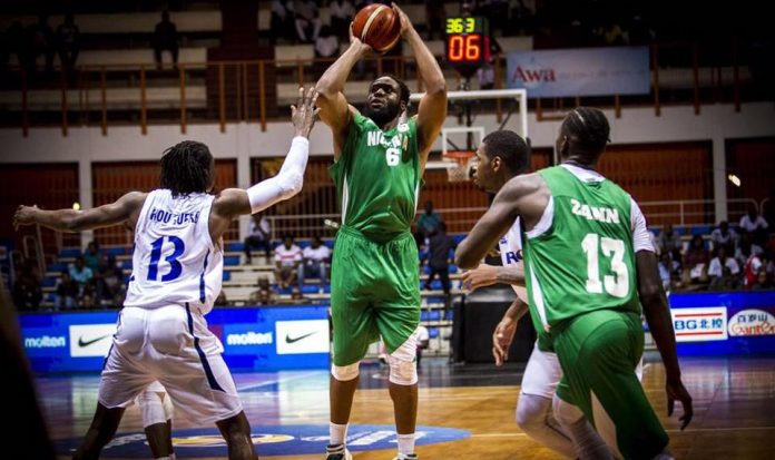 DTigers D'Tigers