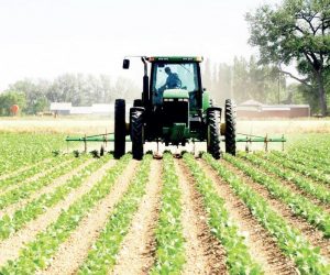 Mechanized Farming: Opportunities exist in this area,