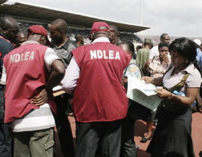 NDLEA (1) NDLEA
