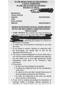Anita Okoye divorce petition