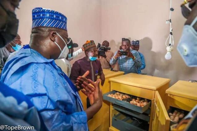 Lawan-at-the-bird-farm-in-Gashua-Yobe--636x423 Lawan