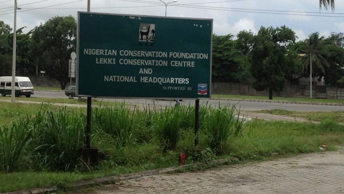  The Nigerian Conservation Foundation (NCF)