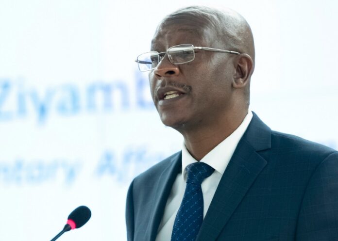 ustice Minister, Ziyambi Ziyambi